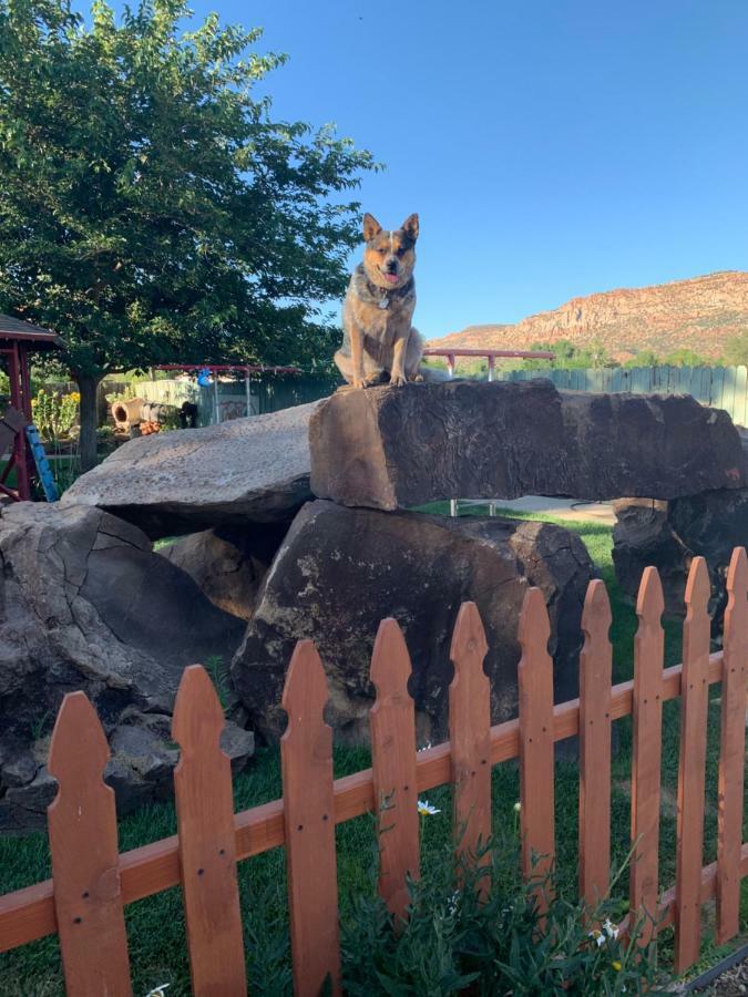 Zion'S Backyard Bed And Breakfast Colorado City Exterior photo
